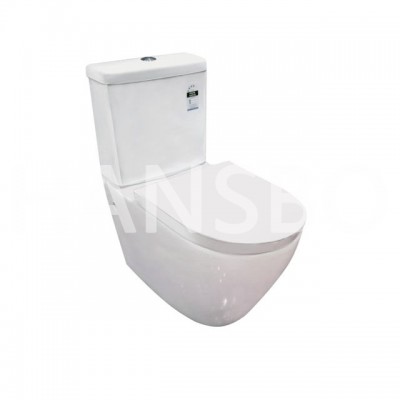 Dual-flush Washdown Two-piece Toilet 1313