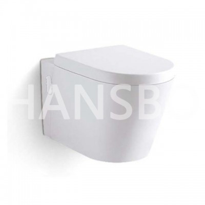 China Supplier Bathroom Ceramic Sanitary Ware Wall-hung Two Piece Portable Toilet 1032