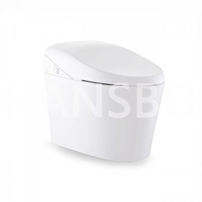 China professional ceramics Manufacturer Ceramic Water Closet Intelligent Toilets Smart Toilet 1516