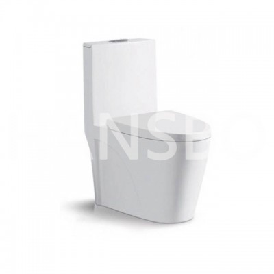 American Sanitaryware Floor Mounted Water One-piece Toilet With S-trap  1216