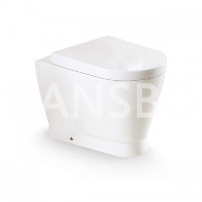 Convenient Bidet Floor Mounted Sanitary Ware Women Wc Smart Toilet 1114