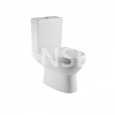 2-piece Single Flush Elongated Ceramic Two-piece Toilet 1309