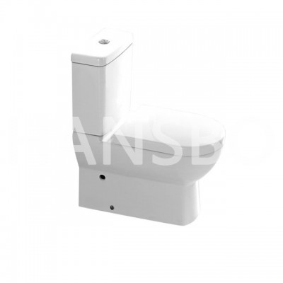 Modern Bathroom Washing Ceramic Wall Hanging Pump Washdown Flushing Two-piece Toilet 1314