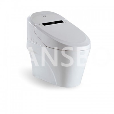 White Ceramic Intelligent Rimless Wall Hung  Intelligent toilet 1513