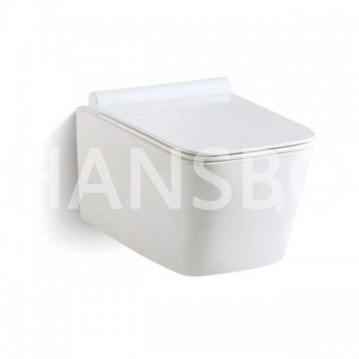 High Quality European Style Bathroom Soft Closing Wall Hung Toilet 1050